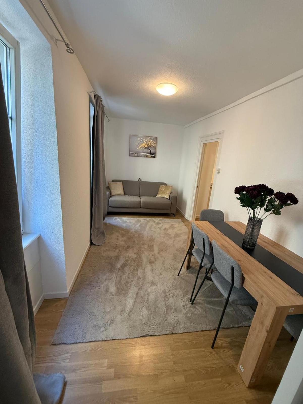 Bliss Basel Residence Binningen 外观 照片